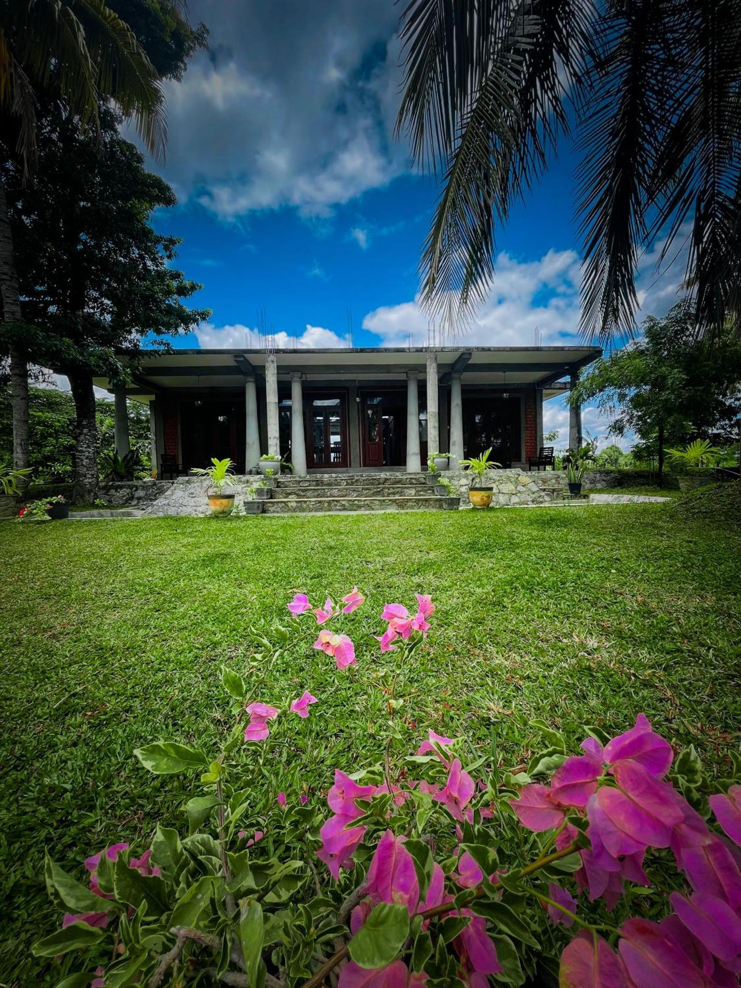 The Lotus Villa סיגירייה מראה חיצוני תמונה