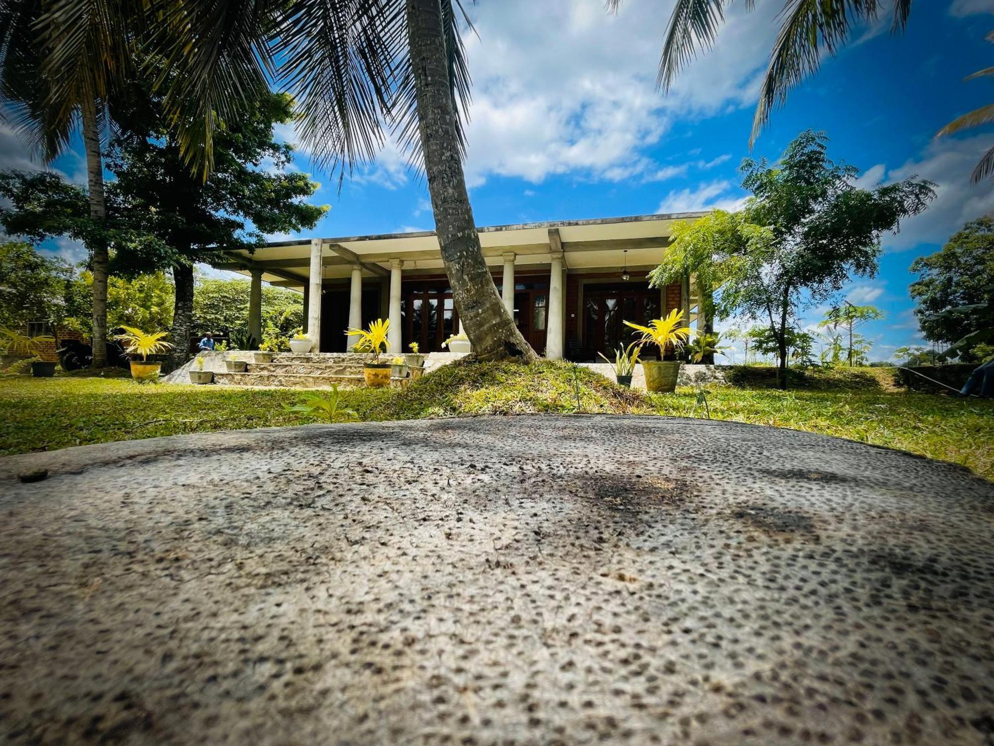 The Lotus Villa סיגירייה מראה חיצוני תמונה